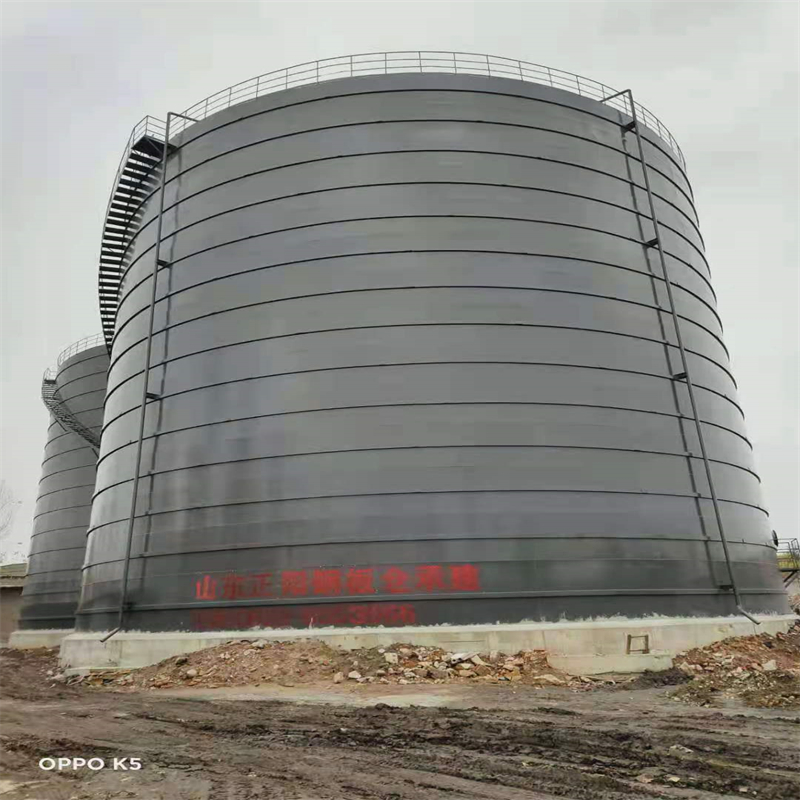 临颍3万吨大型钢板库