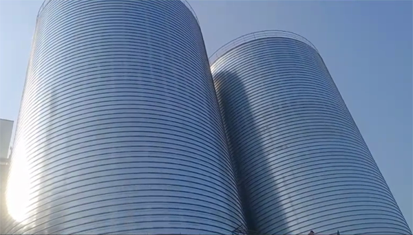 临颍2座混凝土高架卷板仓